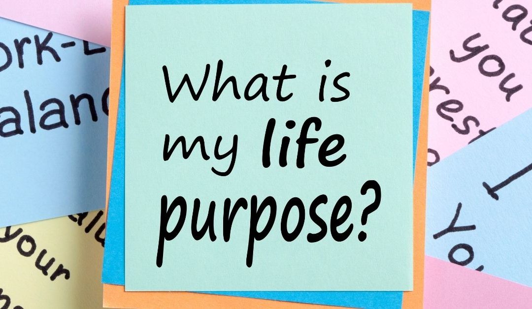 What’s Your Purpose in Life?