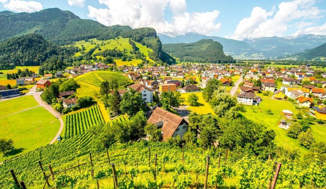 Who Are Your Villagers?