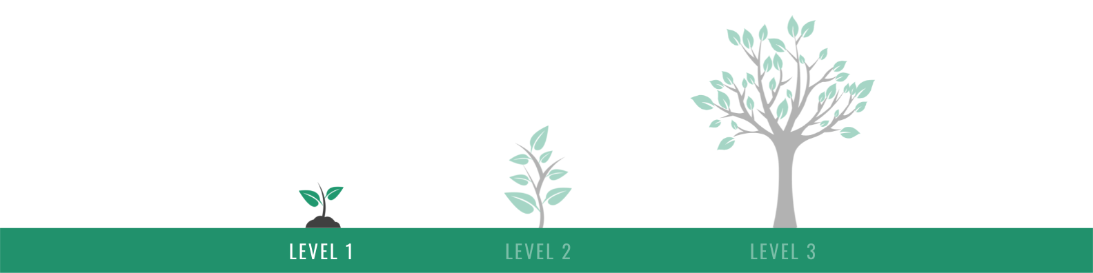 Level 1