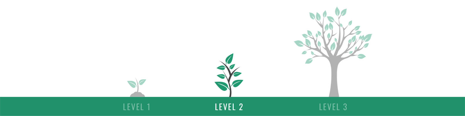 Level 1