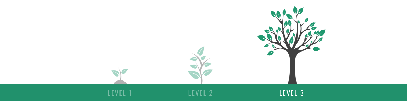 Level 1
