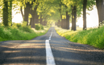 Lead with Clarity